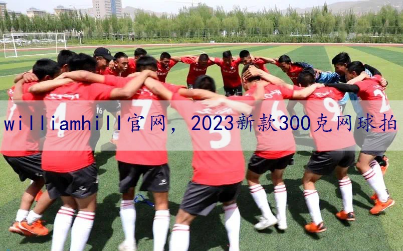 2023新款300克网球拍