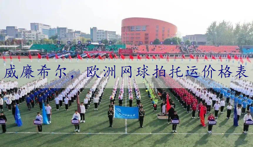 欧洲网球拍托运价格表
