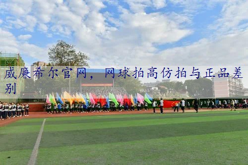网球拍高仿拍与正品差别