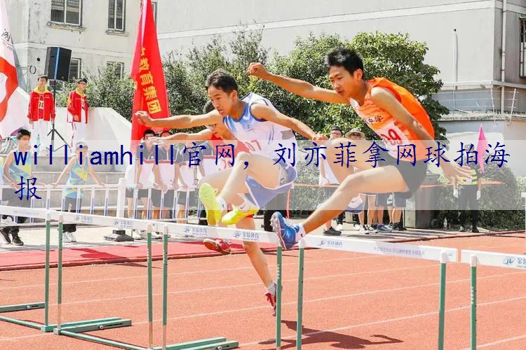 刘亦菲拿网球拍海报