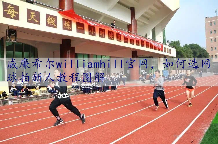 如何选网球拍新人教程图解