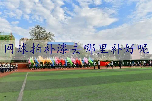 网球拍补漆去哪里补好呢