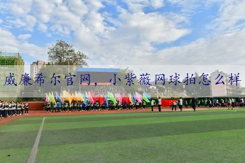 小紫薇网球拍怎么样