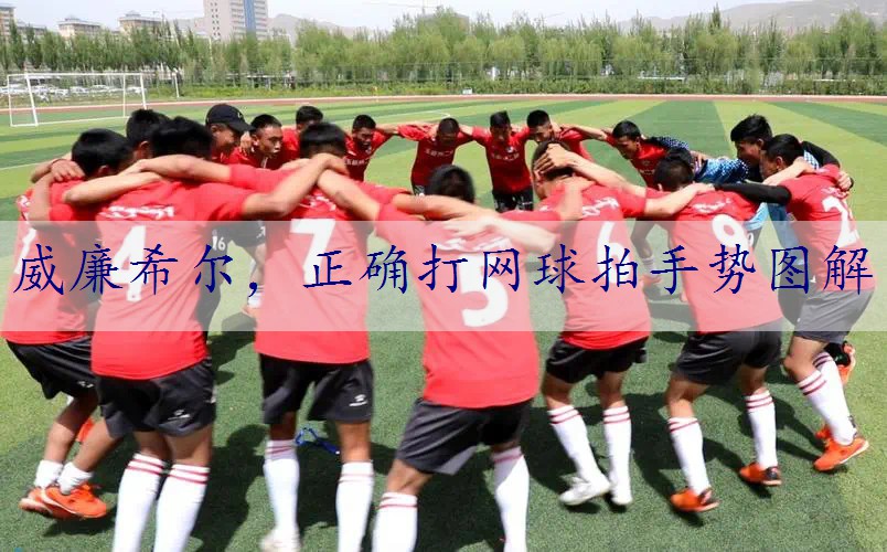 正确打网球拍手势图解