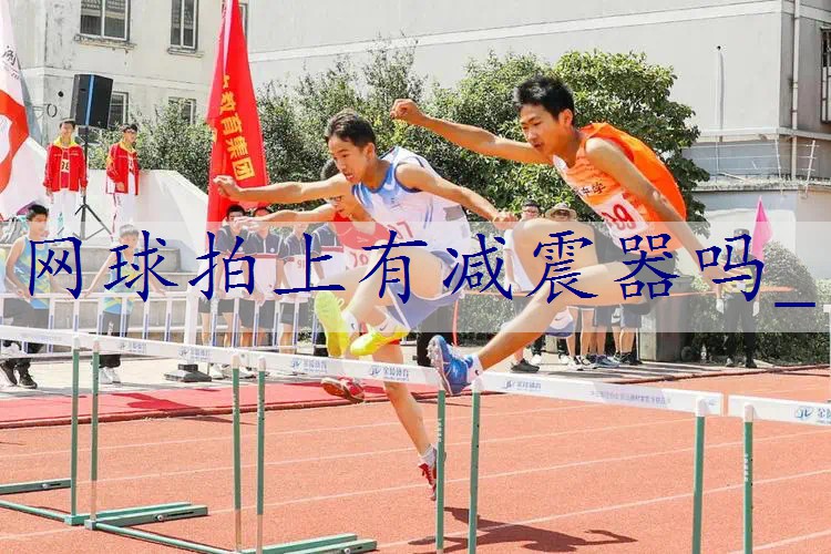 网球拍上有减震器吗_