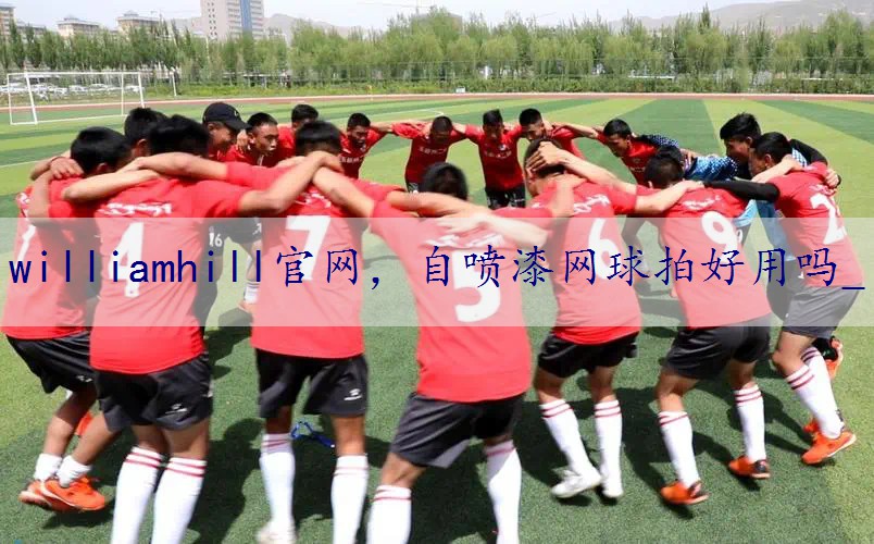 自喷漆网球拍好用吗_