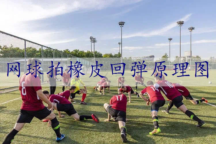 网球拍橡皮回弹原理图