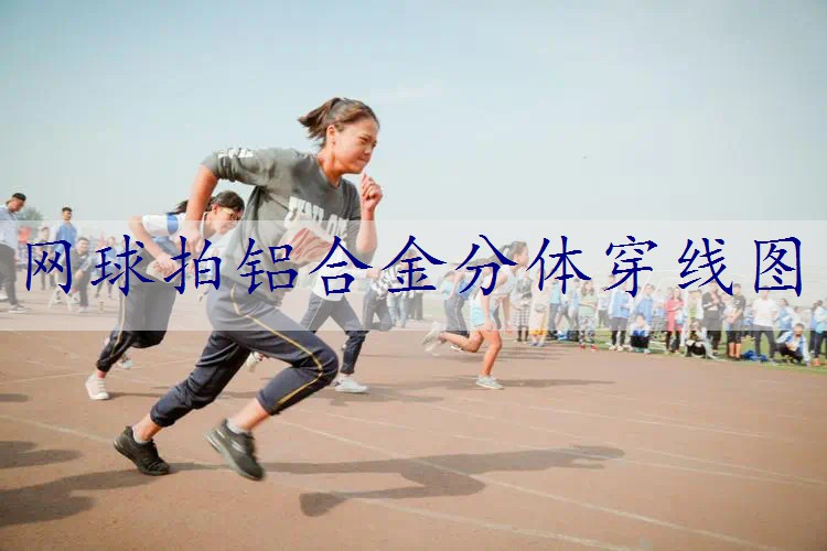 网球拍铝合金分体穿线图