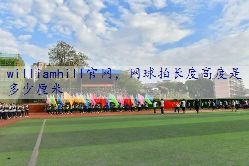 网球拍长度高度是多少厘米