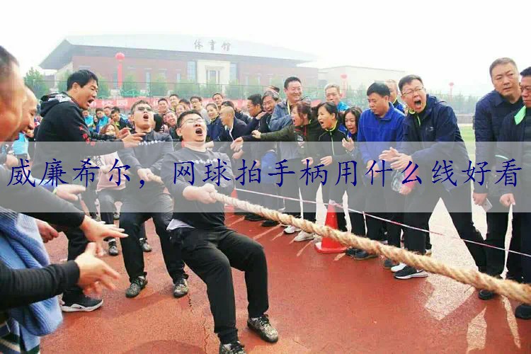 网球拍手柄用什么线好看