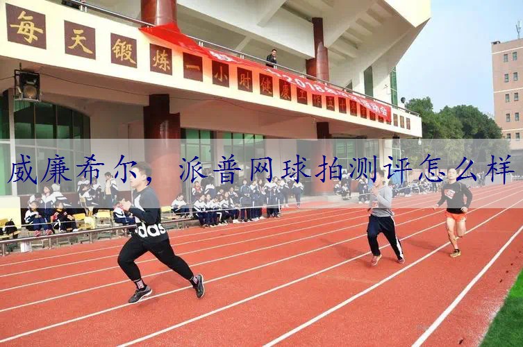 派普网球拍测评怎么样
