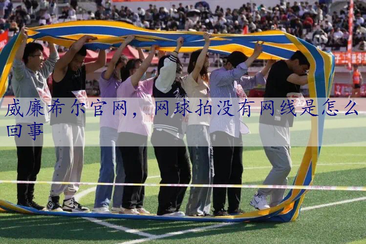 网球拍没有网线是怎么回事