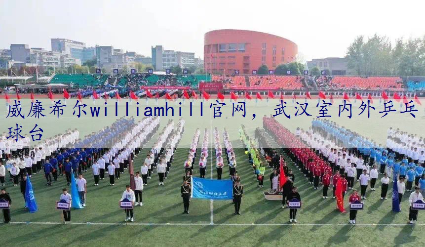 武汉室内外乒乓球台