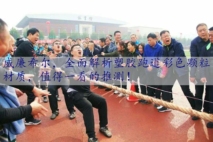 全面解析塑胶跑道彩色颗粒材质，值得一看的推测！