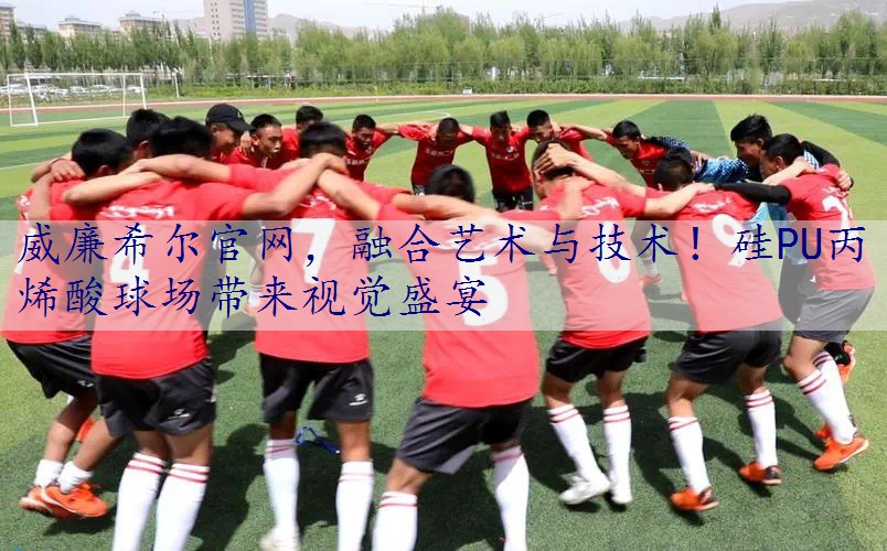 融合艺术与技术！硅PU丙烯酸球场带来视觉盛宴