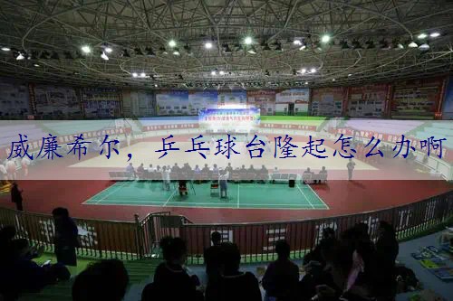 乒乓球台隆起怎么办啊