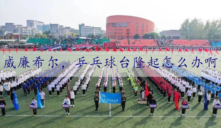 乒乓球台隆起怎么办啊