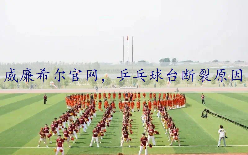 乒乓球台断裂原因