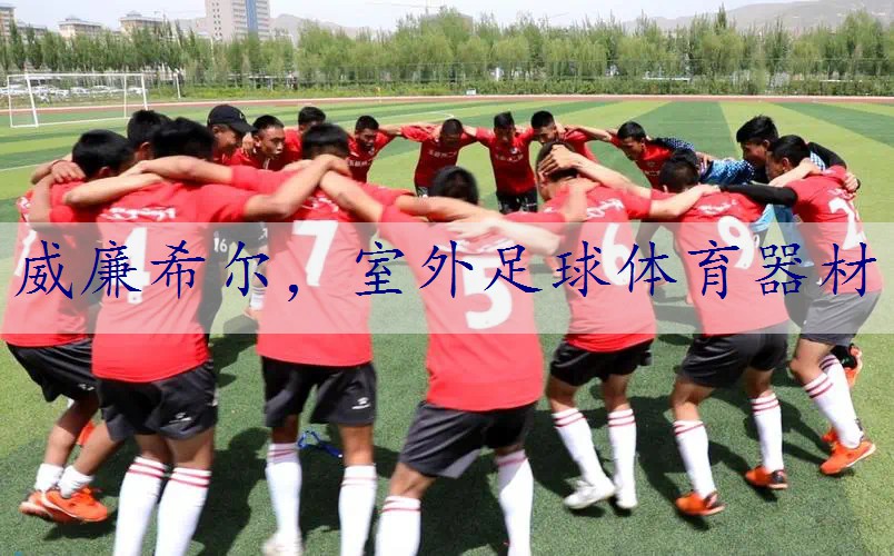 室外足球体育器材