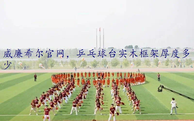 乒乓球台实木框架厚度多少