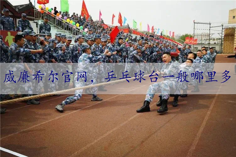 乒乓球台一般哪里多