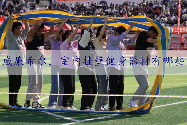 室内挂壁健身器材有哪些