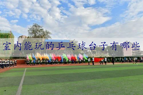 室内能玩的乒乓球台子有哪些