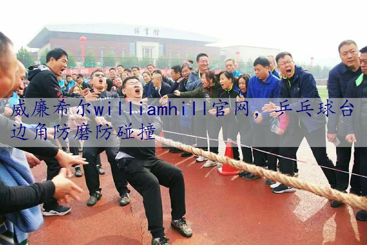 乒乓球台边角防磨防碰撞